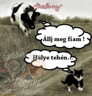 Tehén és a fia