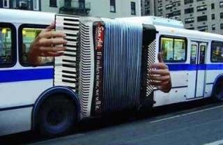 Festett busz