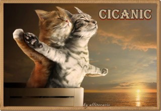 Cica titanic