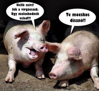Disznók