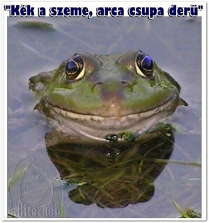Béka zene