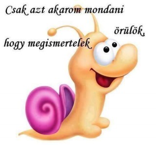 Csiga
