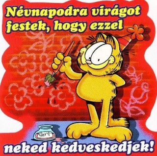 Név nap