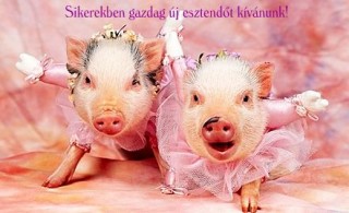 Új évi képek