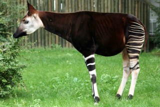 Érdekes