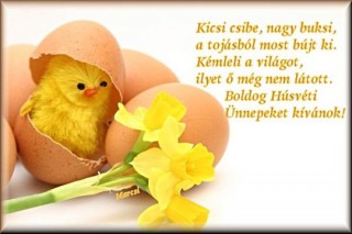 Húsvéti képek