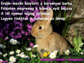 Húsvéti képek
