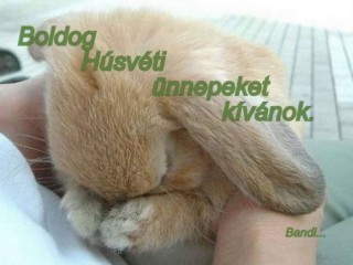 Húsvéti képek